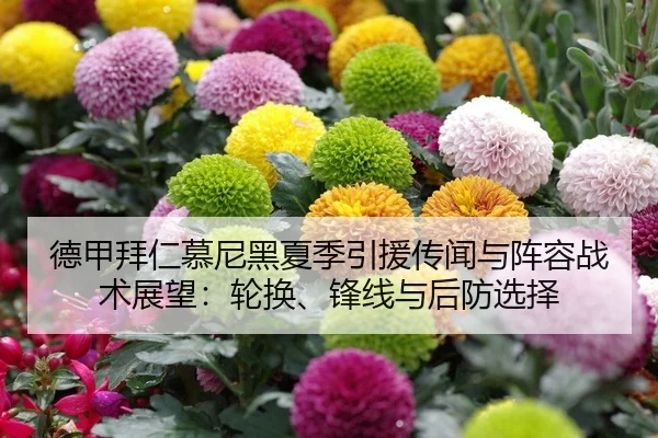德甲拜仁慕尼黑夏季引援传闻与阵容战术展望：轮换、锋线与后防选择