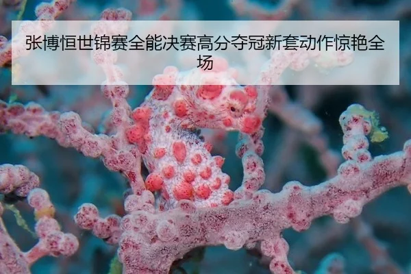 张博恒世锦赛全能决赛高分夺冠新套动作惊艳全场