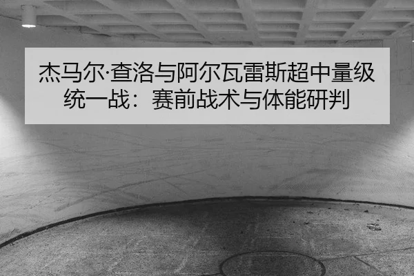 jie-ma-er-cha-luo-yu-a-er-wa-lei-si-chao-zhong-liang-ji-tong-yi-zhan-sai-qian-zhan-shu-yu-ti-neng-yan-pan-3-296.jpg