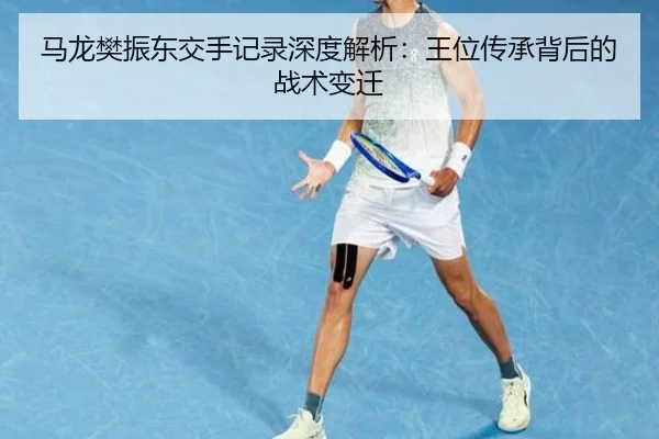马龙樊振东交手记录深度解析：王位传承背后的战术变迁