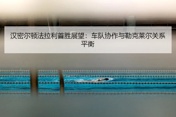 han-mi-er-dun-fa-la-li-shou-sheng-zhan-wang-che-dui-xie-zuo-yu-lei-ke-lai-er-guan-xi-ping-heng-2-100.jpg