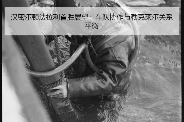 han-mi-er-dun-fa-la-li-shou-sheng-zhan-wang-che-dui-xie-zuo-yu-lei-ke-lai-er-guan-xi-ping-heng-3-698.jpg